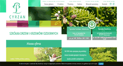Desktop Screenshot of cyrzan.com